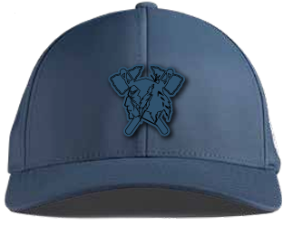 All NAVY HAWKS Hat