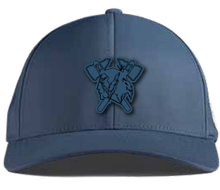 All NAVY HAWKS Hat